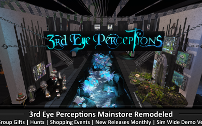 3rd Eye Perceptions – Newly remodeled mainstore
