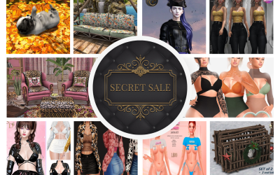 Secret Sale November 11th – 13th