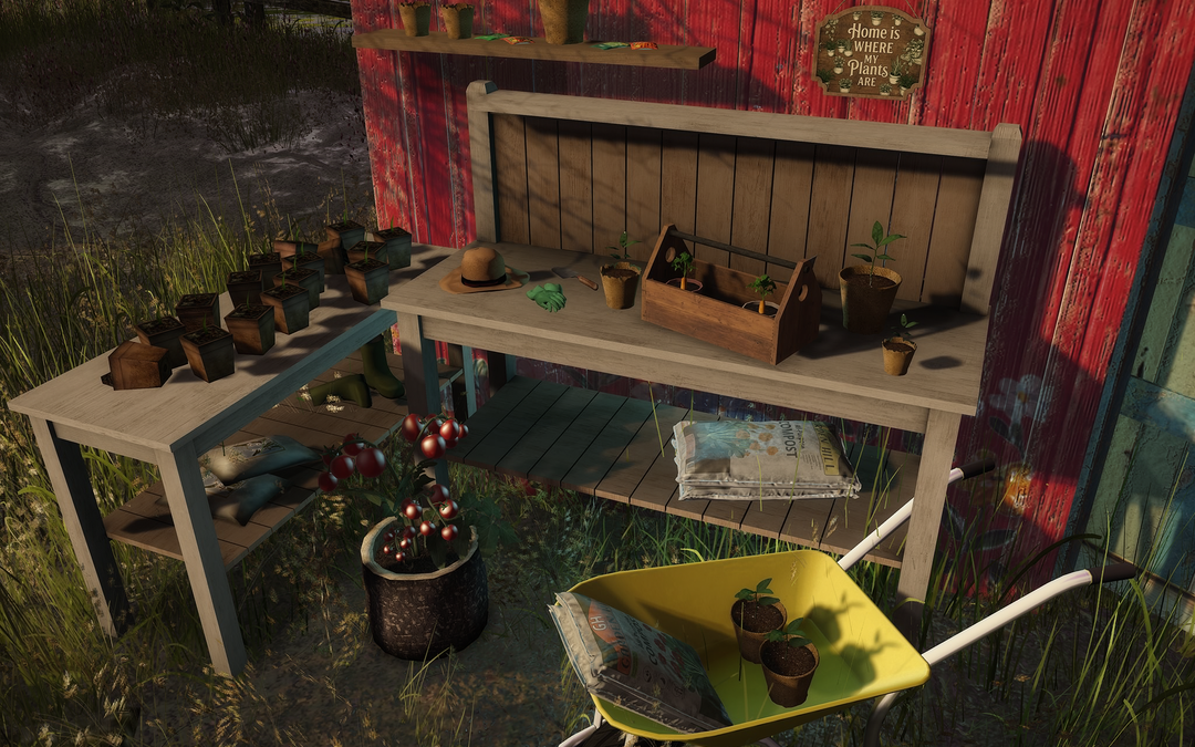 My little green space