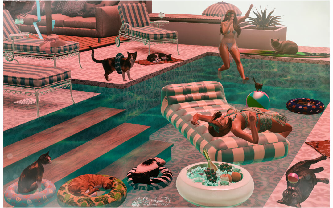 📷►🎬 . ᴘᴏᴏʟ ᴄᴀᴛꜱ 🐱🌴. 🎬◄📷