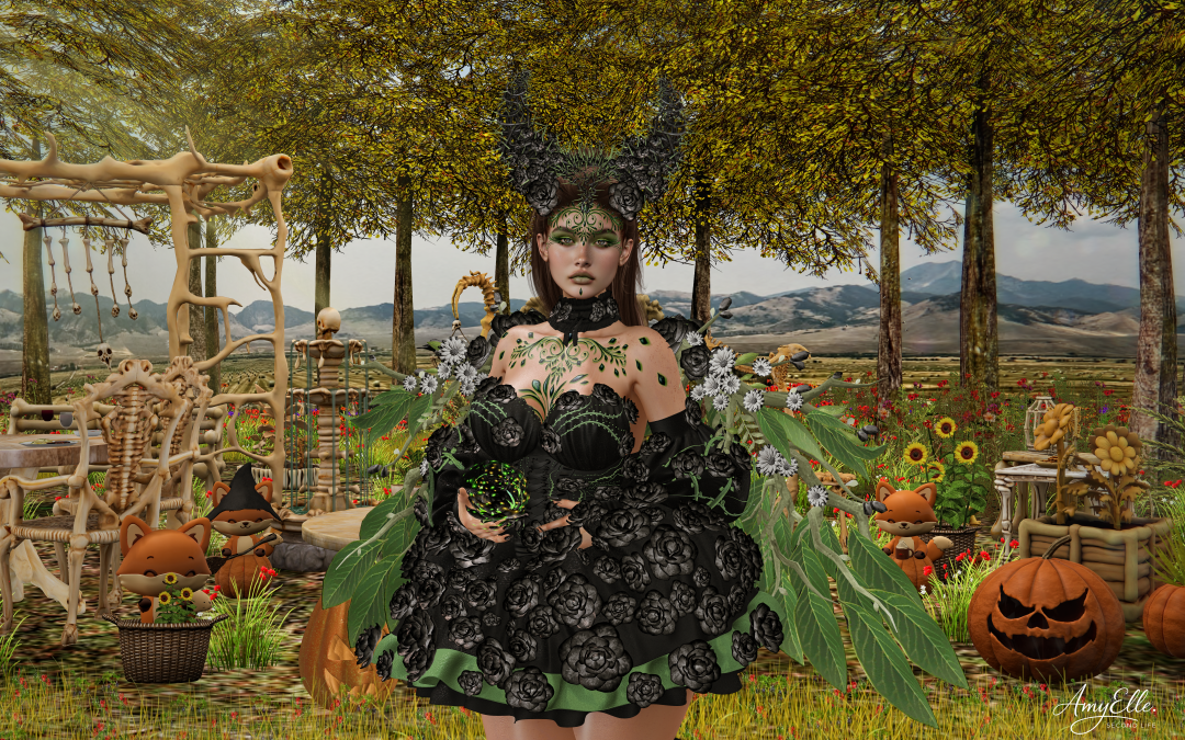 A black rose in autumn